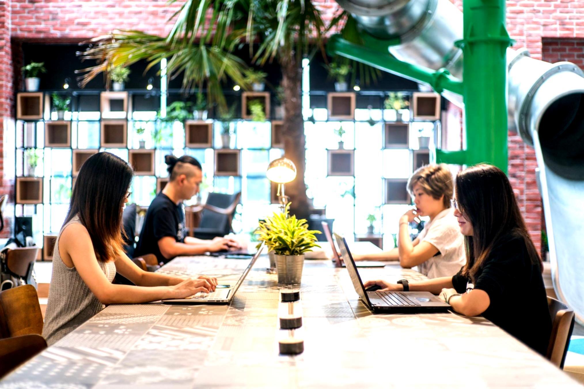 Technisches SEO – strukturiertes Lernen bei Brondixari